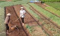Ai được hỗ trợ chuyển đổi nghề khi Nhà nước thu hồi đất nông nghiệp?