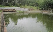 Đất ao đã cấp sổ đỏ bị xác định lại thời hạn sử dụng khi thừa kế, xử lý thế nào?
