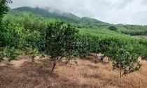 Có được đề nghị tính lại tiền sử dụng đất sau khi nhận được thông báo số tiền phải nộp từ cơ quan thuế?