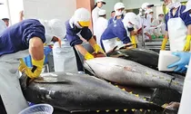 Bán phế liệu thủy sản cho doanh nghiệp khác làm thức ăn chăn nuôi, có phải chịu thuế GTGT?