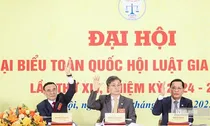 Xây dựng đội ngũ luật gia "bản lĩnh, trí tuệ, trách nhiệm" đáp ứng yêu cầu phát triển đất nước