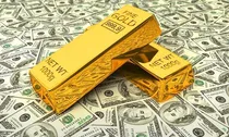 Khai báo không trung thực về ngoại tệ, vàng khi xuất, nhập cảnh bị xử phạt như thế nào?