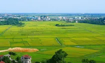 Kế hoạch triển khai cơ chế, chính sách đặc thù để xử lý vi phạm pháp luật về đất đai trước năm 2024
