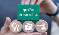 Tăng cường chế tài xử lý các hành vi xâm phạm quyền, vi phạm pháp luật về sở hữu trí tuệ