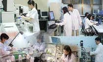 11 nhóm vị trí công tác lĩnh vực khoa học, công nghệ tại chính quyền địa phương phải định kỳ chuyển đổi