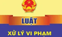 Đề xuất xử phạt vi phạm hành chính không lập biên bản đối với một số trường hợp phù hợp với yêu cầu cải cách thủ tục hành chính, chuyển đổi số
