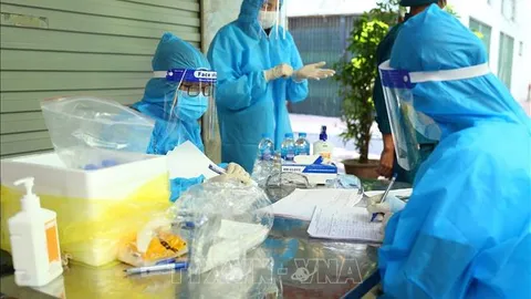 Ngày 8/11, Việt Nam ghi nhận 7.988 ca nhiễm mới SARS-CoV-2, trong ngày có 67 ca tử vong