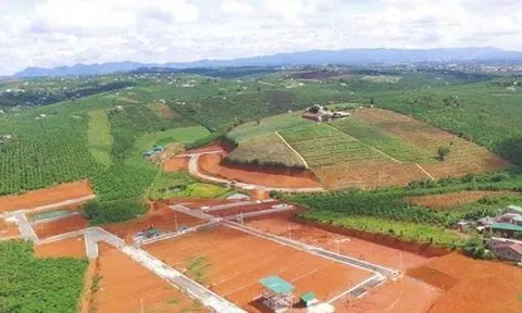 Chuyển mục đích sử dụng đất có phải đăng ký kế hoạch hằng năm?