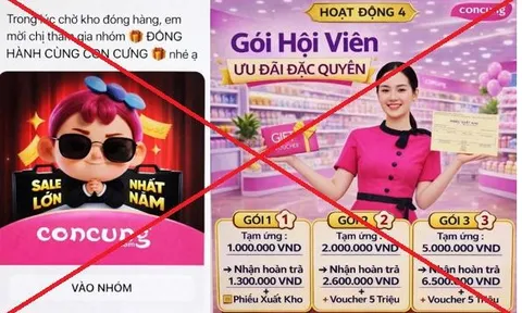 Sập bẫy nhóm “Đồng hành cùng Con Cưng”, người phụ nữ bị lừa gần 1 tỷ đồng