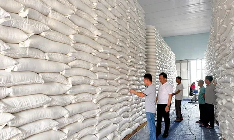 Đề xuất mới về chế độ, chính sách cho người làm công tác dự trữ quốc gia