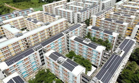 Đang thuê nhà ở xã hội, có được đăng ký mua dự án khác trong cùng tỉnh?