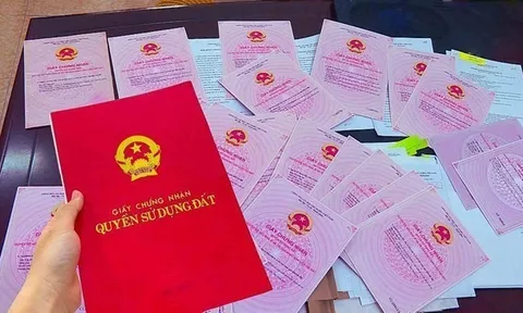 Đã có nhà trên đất trồng cây lâu năm, có được cấp sổ đỏ?