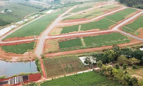 Chuyển đất trồng cây lâu năm sang đất ở: Nghĩa vụ tài chính và thủ tục ra sao?