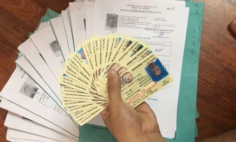 Những trường hợp nào bị thu hồi giấy phép xe tập lái từ 1/7/2026?