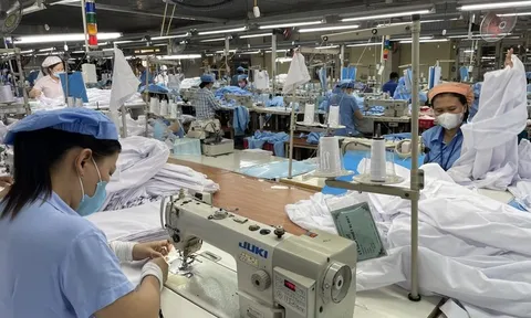 Người lao động nghỉ thai sản, doanh nghiệp cần báo giảm khi nào?