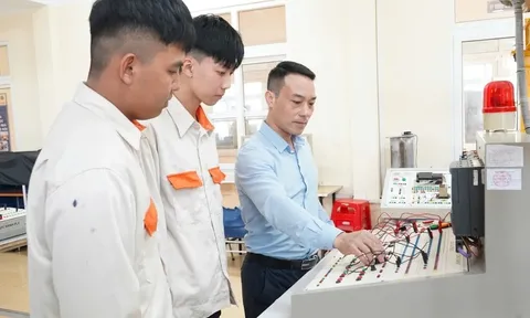Quy định hợp đồng lao động đối với giảng viên đồng cơ hữu