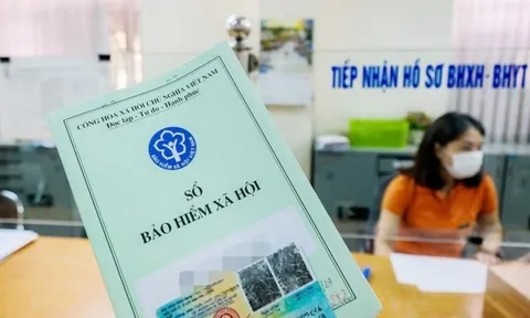 Người Việt ở nước ngoài có được tham gia BHXH tự nguyện tại Việt Nam?