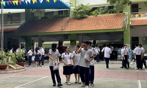Đầu năm tìm trường