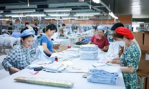 Chuyển đổi đơn vị sự nghiệp thành doanh nghiệp: Đề xuất chính sách đối với người lao động; người lao động dôi dư