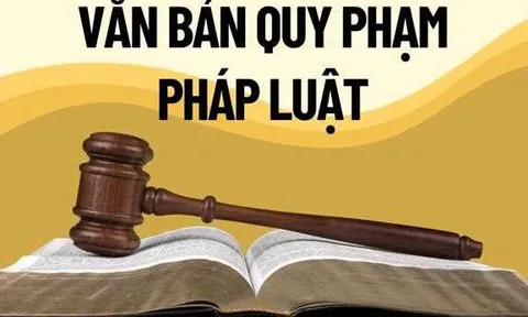 Xử lý triệt để tình trạng chậm ban hành văn bản quy định chi tiết luật, pháp lệnh, nghị quyết