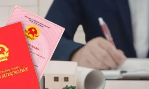 Chậm đăng ký biến động đất đai sau chuyển nhượng bị xử phạt thế nào?