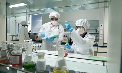 Bảo đảm an toàn trong sản xuất, lưu thông chế phẩm diệt côn trùng, diệt khuẩn