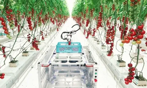 Điều kiện thành lập khu nông nghiệp ứng dụng công nghệ cao