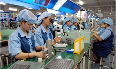 Lừa gạt người lao động có thể bị phạt tới 75 triệu đồng