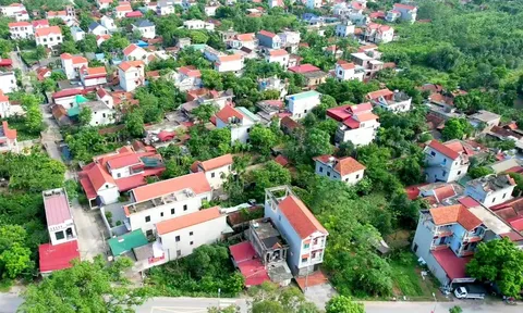 Xác định hành vi lấn, chiếm đất dựa trên những căn cứ nào?