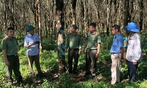 Quy định về nguyên tắc kết hợp an ninh với kinh tế - xã hội