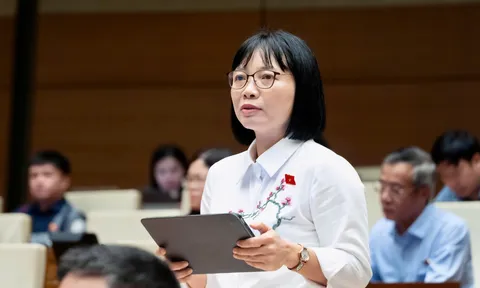ĐBQH đề nghị làm rõ cơ chế kiểm soát 3 lớp với xuất bản phẩm có nội dung đặc thù