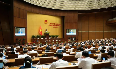 Không để xảy ra trường hợp bỏ lọt tội phạm, làm oan người vô tội