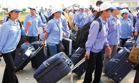 Người lao động ở lại nước ngoài trái phép khi hết hợp đồng có thể bị phạt tới 100 triệu đồng