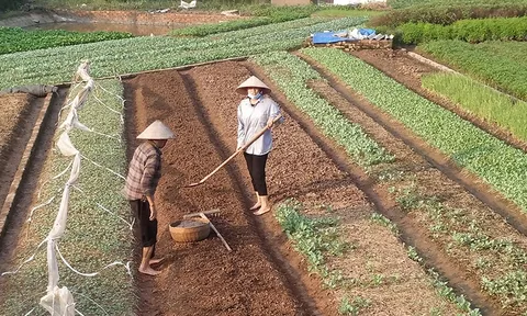 Bị thu hồi đất nông nghiệp, ai được hỗ trợ đào tạo nghề và tìm việc làm?