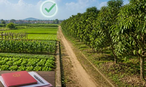 Chuyển từ đất trồng cây hằng năm sang đất trồng cây lâu năm có bị xử phạt?