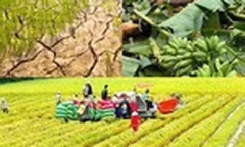 Chính sách mới có hiệu lực từ tháng 10/2026