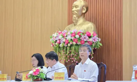 ĐBQH Nguyễn Khánh Ngọc: Đẩy mạnh số hóa, chia sẻ dữ liệu để giảm giấy tờ cho người dân