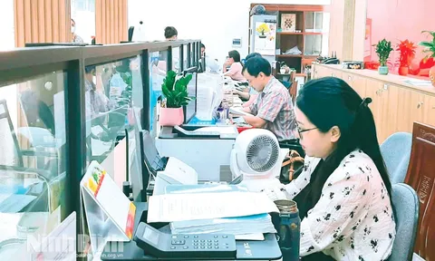 Chính phủ quy định cơ quan, đơn vị kiểm soát thủ tục hành chính