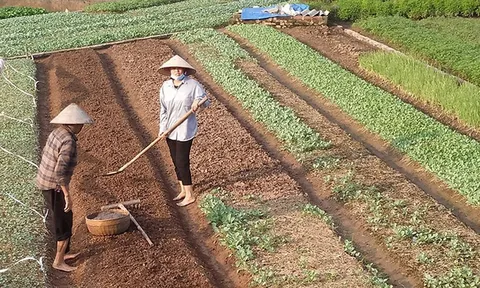 Ai được hỗ trợ chuyển đổi nghề khi Nhà nước thu hồi đất nông nghiệp?