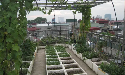 Những câu chuyện nhặt trên phố