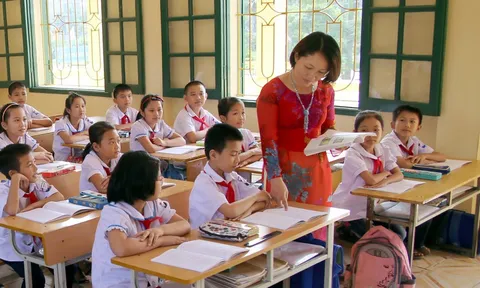 Nhân viên thư viện chuyển làm giáo viên tiểu học, điều kiện thế nào?