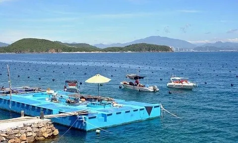 Nước thải từ cơ sở sản xuất, chế tác ngọc trai và nuôi trai xuất khẩu có được miễn phí bảo vệ môi trường?