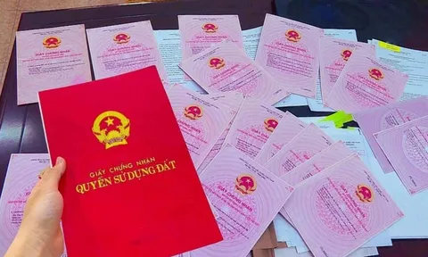 Thông tin hạn chế quyền sử dụng đất thể hiện trên sổ đỏ thế nào?