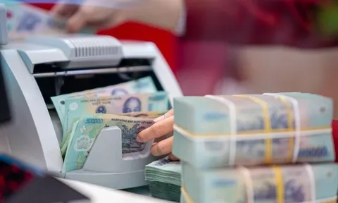 Cá nhân là người không cư trú có được vay vốn ngân hàng?