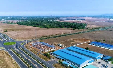 Đối tượng được gia hạn nộp thuế, tiền thuê đất theo Nghị định số 245
