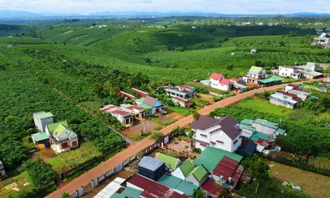 Được cấp phép chuyển mục đích sử dụng đất trước ngày 1/8/2024, có được tính lại tiền sử dụng đất?