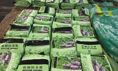 Triệt phá đường dây vận chuyển 270kg ma túy đá tuồn vào Philippines