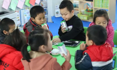 Biết bao sự chung tay để có ly sữa học đường an toàn, hiệu quả cho trẻ em