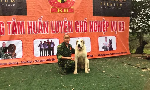 HLV chuyên nghiệp chia sẻ cách xử lý, thoát thân khi bị chó dữ tấn công?