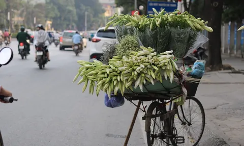 Hà Nội rực rỡ tháng Tư về